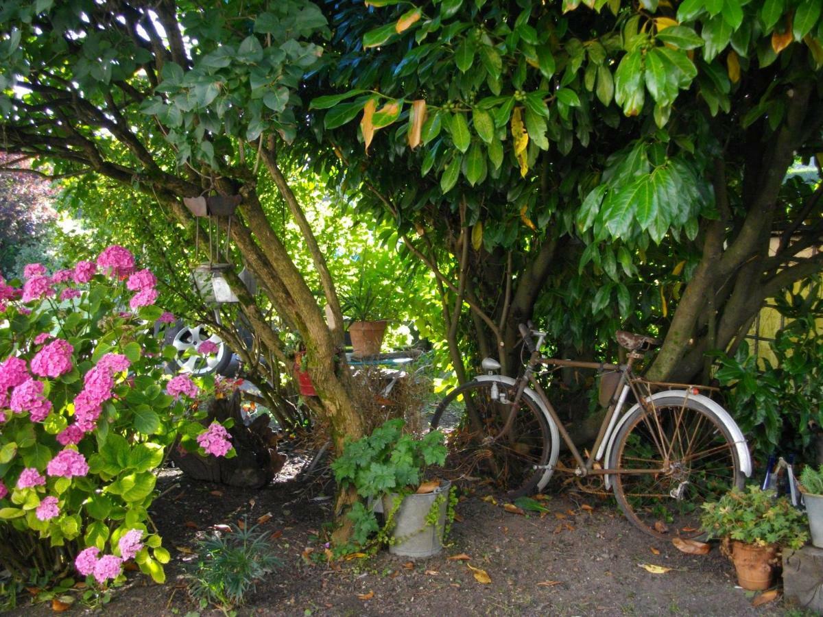 Bed and Breakfast Au Bois Dormant Huby-Saint-Leu Exterior foto
